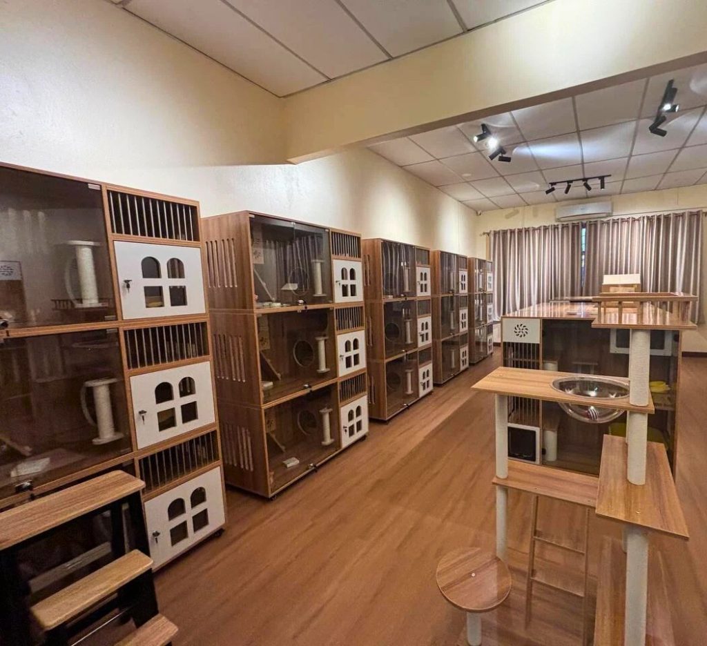 Petvolusi Cat hotel Bangi